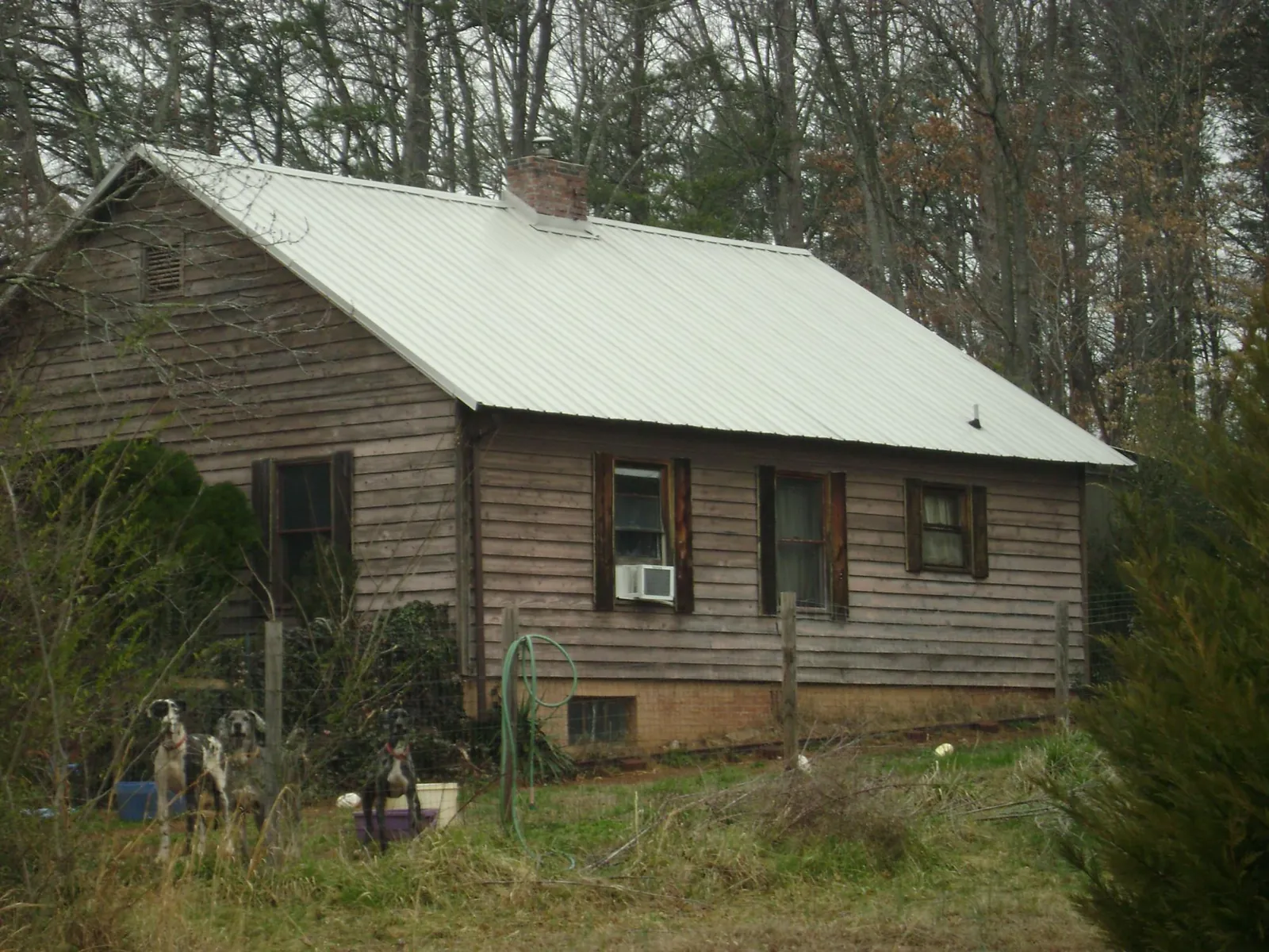 White metal roof on an old wood sided farmhouse, from a Asphalt Shingle Roof Repair job in Danby